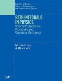 bokomslag Path Integrals in Physics