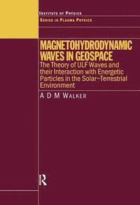 bokomslag Magnetohydrodynamic Waves in Geospace