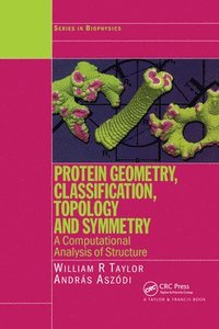 bokomslag Protein Geometry, Classification, Topology and Symmetry