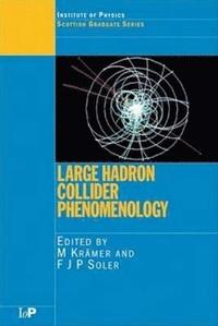 bokomslag Large Hadron Collider Phenomenology
