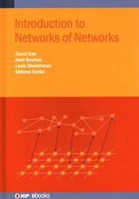 bokomslag Introduction to Networks of Networks