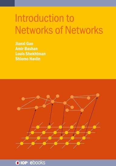 Jainxi Gao, Amir Bashan, Louis Shekhtman, Shlomo Havlin - Introduction to Networks of Networks, Inbunden