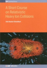 bokomslag A Short Course on Relativistic Heavy Ion Collisions