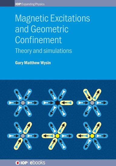 Gary Matthew Wysin - Magnetic Excitations and Geometric Confinement, Inbunden