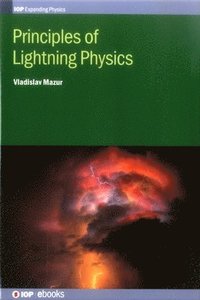 bokomslag Principles of Lightning Physics