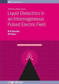 bokomslag Liquid Dielectrics in an Inhomogeneous Pulsed Electric Field