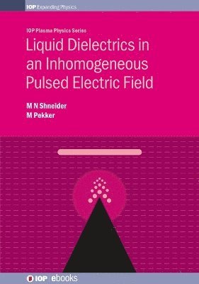 bokomslag Liquid Dielectrics in an Inhomogeneous Pulsed Electric Field