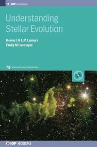 bokomslag Understanding Stellar Evolution
