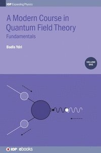 bokomslag A Modern Course in Quantum Field Theory, Volume 1