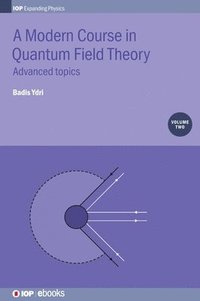 bokomslag A Modern Course in Quantum Field Theory, Volume 2