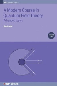 bokomslag A Modern Course in Quantum Field Theory, Volume 2