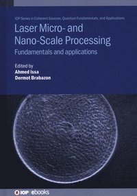 bokomslag Laser Micro- and Nano-Scale Processing