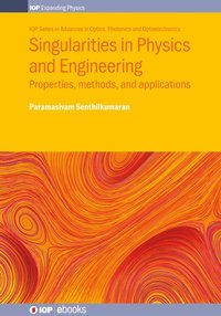 bokomslag Singularities in Physics and Engineering