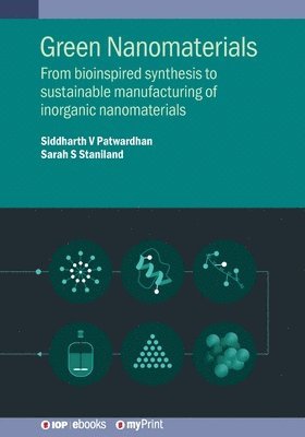 Siddharth Patwardhan, Sarah Staniland - Green Nanomaterials, Häftad