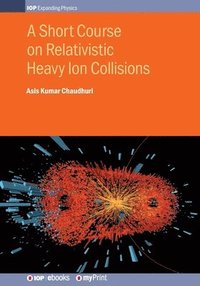 bokomslag Short Course on Relativistic Heavy Ion Collisions