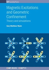 bokomslag Magnetic Excitations and Geometric Confinement