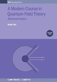 bokomslag A Modern Course in Quantum Field Theory, Volume 2
