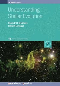 bokomslag Understanding Stellar Evolution