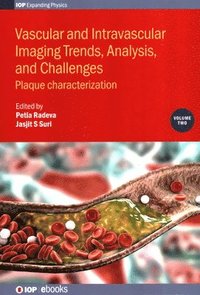 bokomslag Vascular and Intravaslcular Imaging Trends, Analysis, and Challenges  - Volume 2