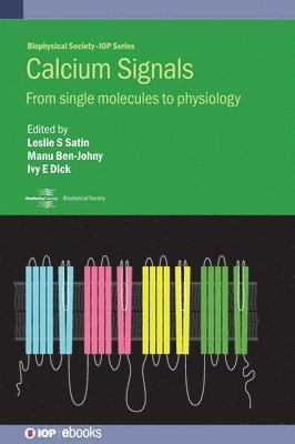 bokomslag Calcium Signals