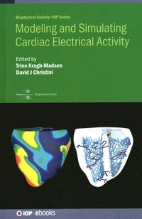 bokomslag Modeling and Simulating Cardiac Electrical Activity