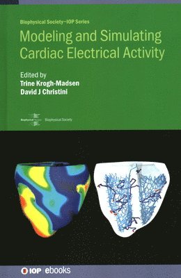 Modeling and Simulating Cardiac Electrical Activity 1