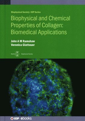 bokomslag Biophysical and Chemical Properties of Collagen: Biomedical Applications