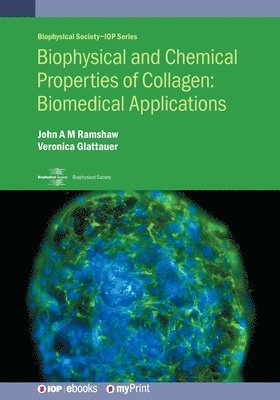John A M Ramshaw, Veronica Glattauer - Biophysical and Chemical Properties of Collagen, Häftad