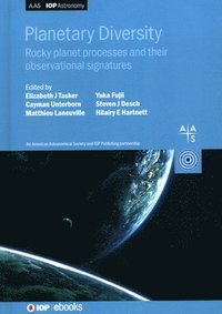 bokomslag Planetary Diversity