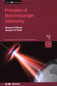 bokomslag Principles of Multimessenger Astronomy