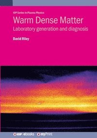 bokomslag Warm Dense Matter