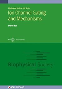 bokomslag Ion Channel Gating and Mechanisms