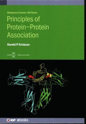 bokomslag Principles of Protein-Protein Association
