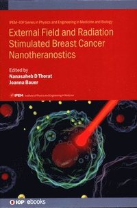 bokomslag External Field and Radiation Stimulated Breast Cancer Nanotheranostics
