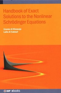 bokomslag Handbook of Exact Solutions to the Nonlinear Schrödinger Equations