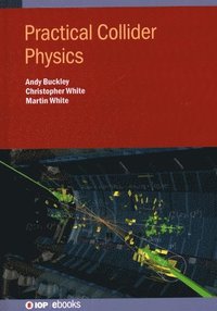 bokomslag Practical Collider Physics