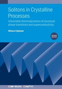 bokomslag Solitons in Crystalline Processes (2nd Edition)