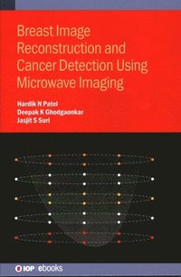 bokomslag Breast Image Reconstruction and Cancer Detection Using Microwave Imaging