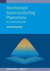 bokomslag Macroscopic Superconducting Phenomena