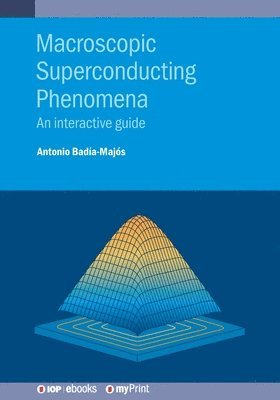 bokomslag Macroscopic Superconducting Phenomena