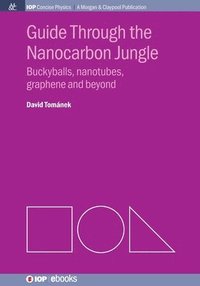 bokomslag Guide Through the Nanocarbon Jungle