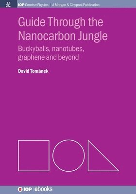David Tománek - Guide Through the Nanocarbon Jungle, Häftad
