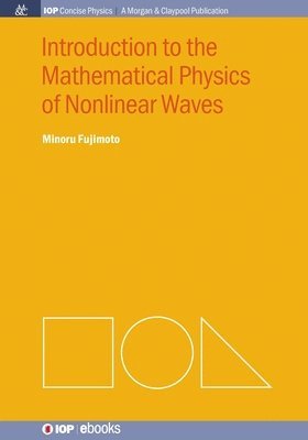 Minoru Fujimoto - Introduction to the Mathematical Physics of Nonlinear Waves, Häftad
