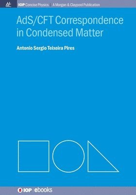Antonio Sergio Teixeira Pires - AdS/CFT Correspondence in Condensed Matter, Häftad