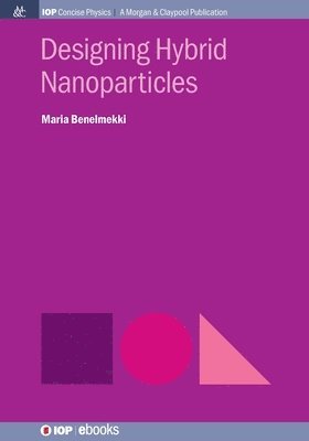 Maria Benelmekki - Designing Hybrid Nanoparticles, Häftad