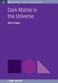 bokomslag Dark Matter in the Universe
