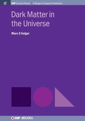 bokomslag Dark Matter in the Universe