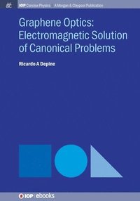 bokomslag Graphene Optics