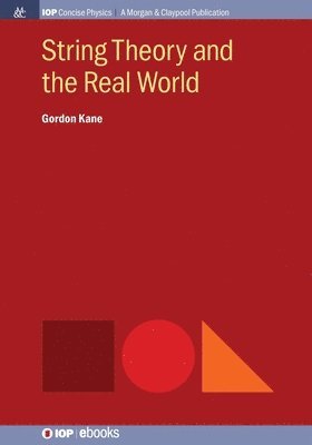bokomslag String Theory and the Real World