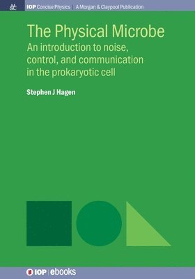 bokomslag Physical Microbe